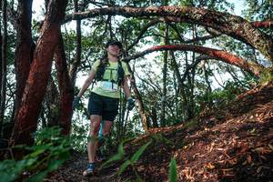 BIB: 
                            <button type="button" onclick="openModal(26344445)" class="btn btn-primary btn-sm float-right btn-popup" data-toggle="modal" data-target=".modal-high-quality">
                        <i class="fas fa-shopping-cart"></i> Add to Cart
                    </button>
                                            <button type="button" onclick="isThisMe(26344445, true)" class="btn btn-success btn-sm float-right btn-popup btn-isme hidden" data-toggle="tooltip" data-placement="bottom" title="นี่คือรูปของคุณใช่ไหม คลิกที่นี่เพื่อเอาเข้าอัลบั้ม">
                        <i class="fas fa-plus"></i> Add to album
                    </button>
                    <button type="button" onclick="isThisMe(26344445, false)" class="btn btn-warning btn-sm float-right btn-popup btn-isnotme hidden">
                        <i class="fas fa-ban"></i> Remove from album
                    </button>